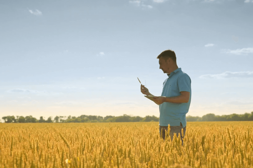 ¿Qué servicios lingüísticos puede utilizar el sector agroalimentario para expandirse más allá de las fronteras nacionales? servicios linguisticos para crecer en el sector agroalimentario